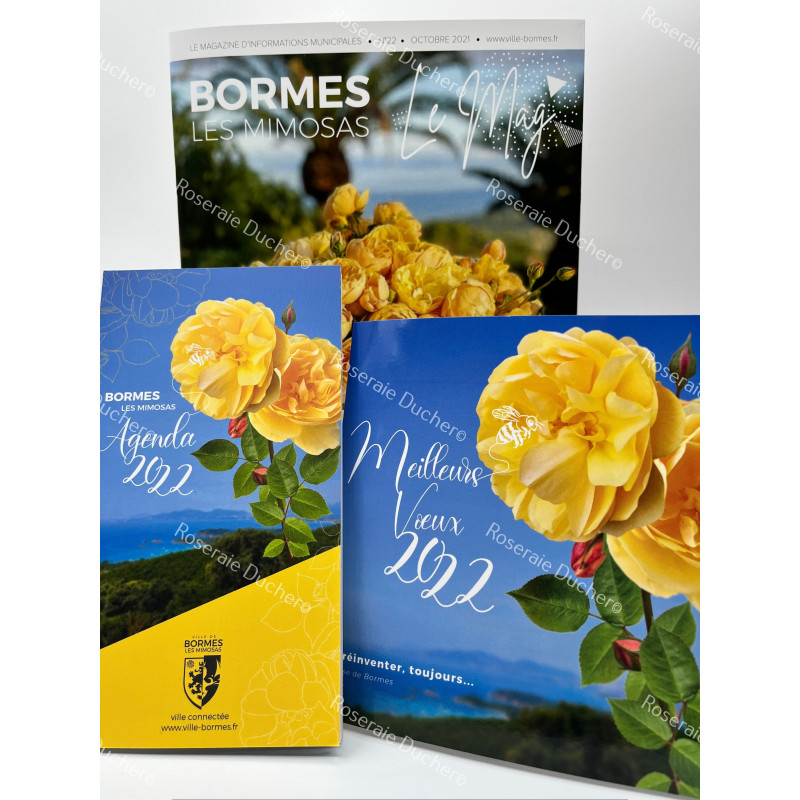 Shrub rose Rose de Bormes ®