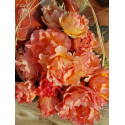Shrub rose creation Jean de Luxembourg, roi de Boheme ®