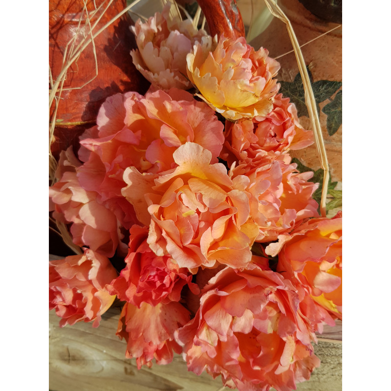Shrub rose creation Jean de Luxembourg, roi de Boheme ®