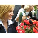 Roseraie DUCHER - Rosier buisson Clotilde Courau ®