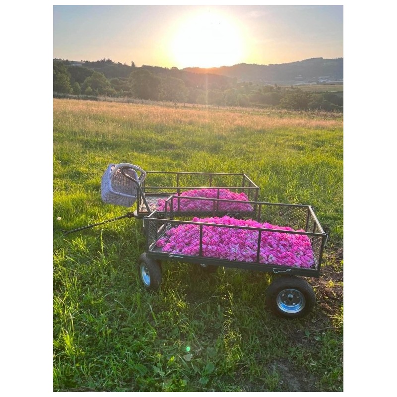 Hydrolat de rose de damas, production locale,  sans conservateur et sans ingrédient de synthèse-Roseraie Ducher