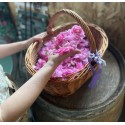 Hydrolat de rose de damas, production locale,  sans conservateur et sans ingrédient de synthèse-Roseraie Ducher