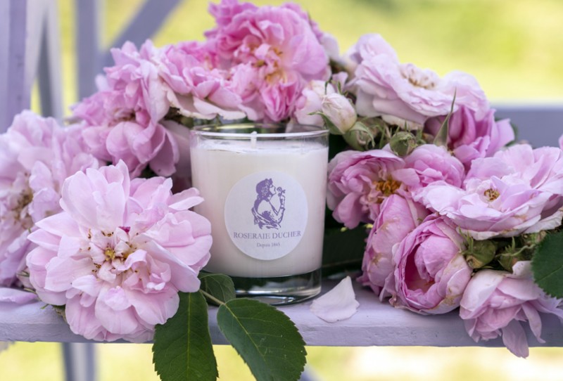 Scented candles Duftkerze Rose Haven - Rose by SCENTORIE
